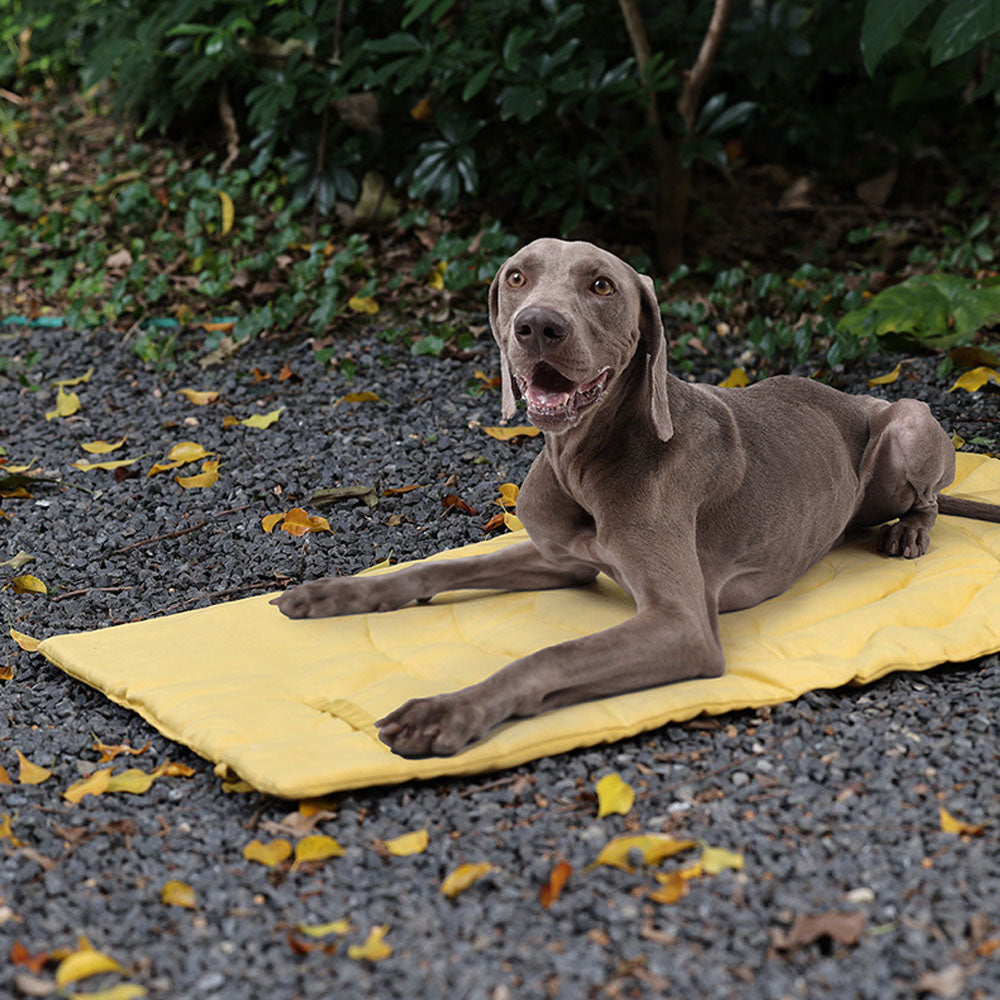 Pet Outside Dog Cat Beds Mat Retro Folding Blanket Pad