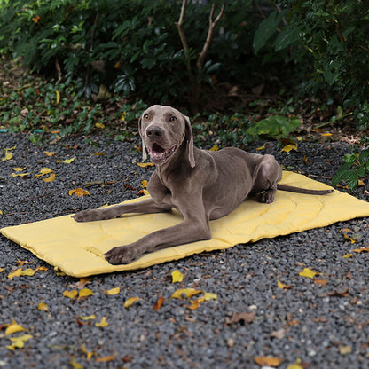 Pet Outside Dog Cat Beds Mat Retro Folding Blanket Pad