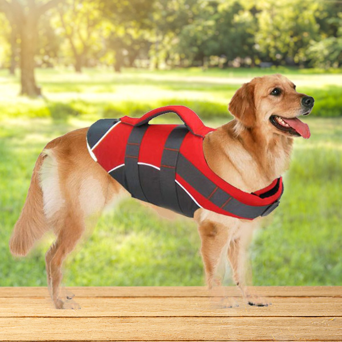 Pet Summer New Life Jacket, Essential for Dog Swimming Stylish Vest with High Buoyancy & Multi-colors