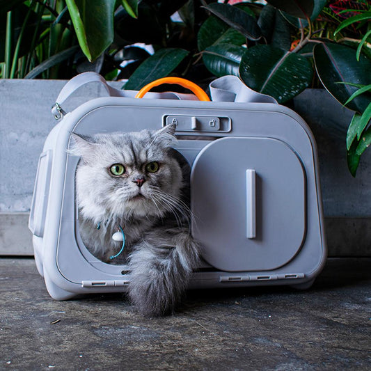 Stylish Portable High-Capacity Cat Carrier Space Capsule Design for Easy Travel