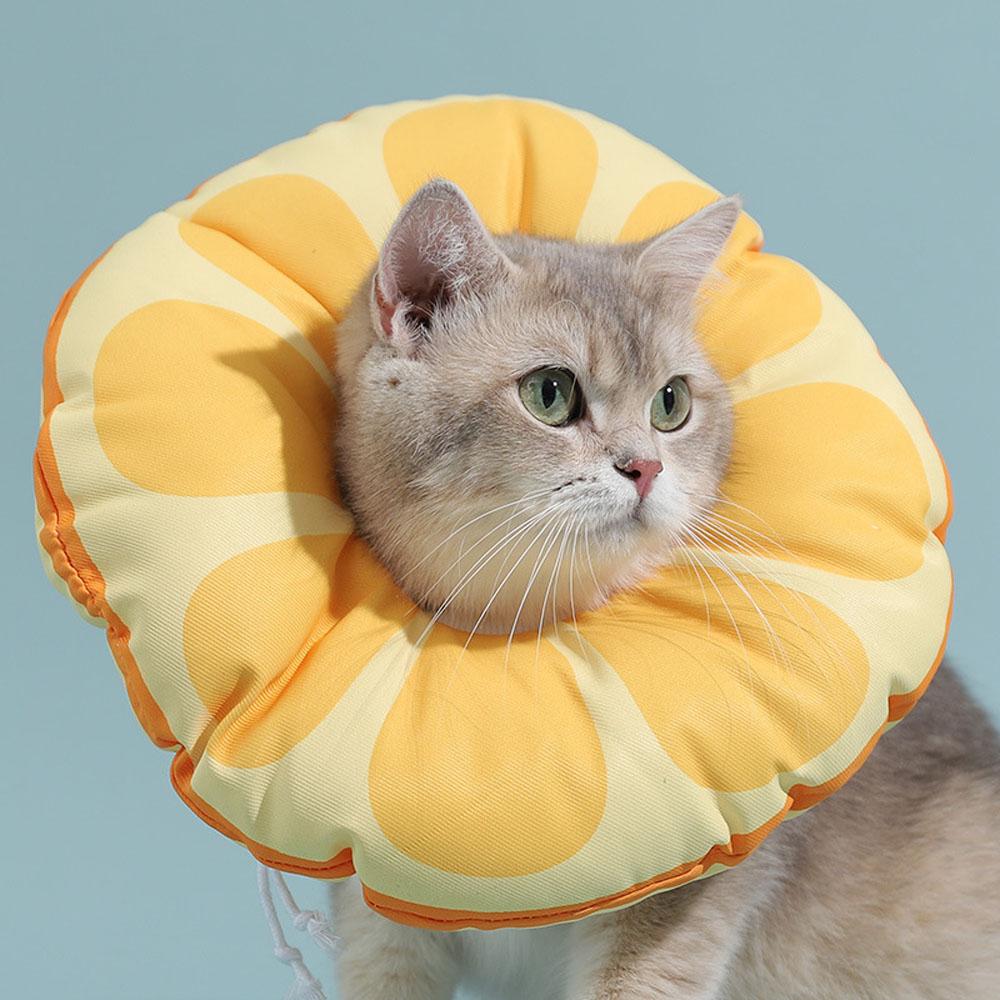 Cat Recovery Pet Cone Orange Waterproof Neck Cone Adjustable Kitten Collar