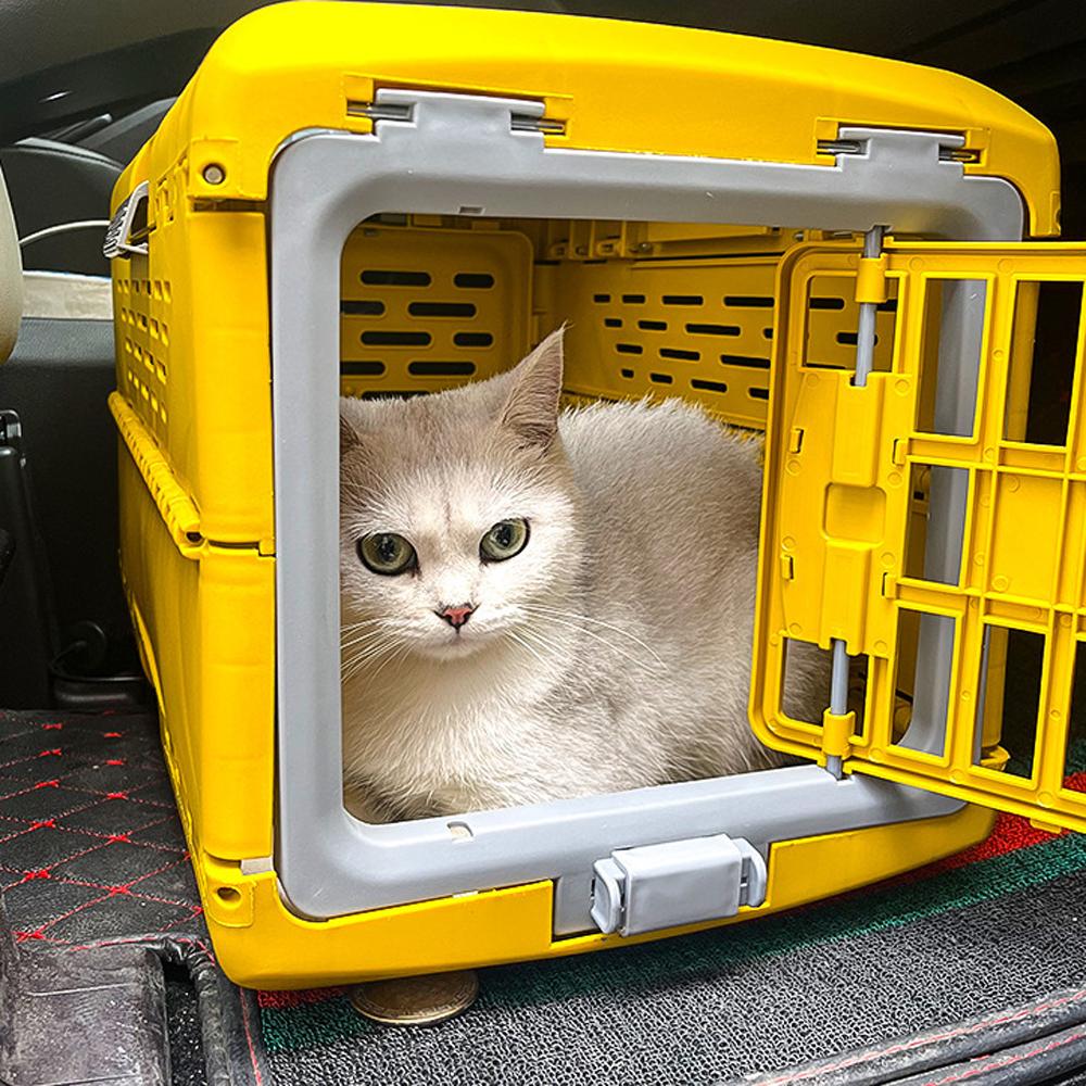 Pet portable approved box folding box outing cat bag pet cage dog cage